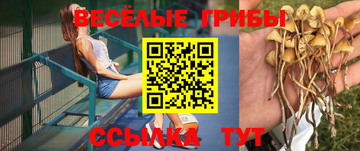 Галлюциногенные грибы GOLDEN TEACHER Маркс